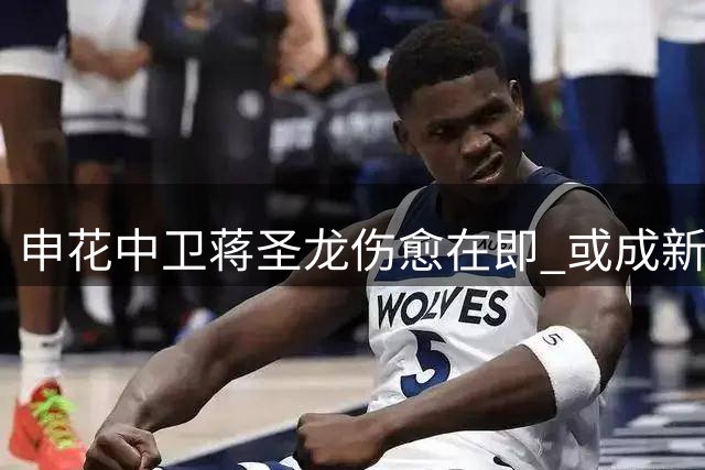 申花中卫蒋圣龙伤愈在即 或成新帅重要棋子